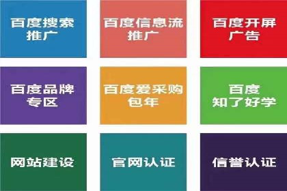 SEM主管实战技巧：案例分享与解读