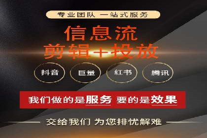 SEM托管公司案例分析：实战技巧全解析
